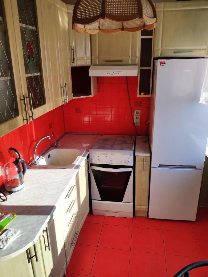 Cozy One Bedroom Apartment Kijev Kültér fotó